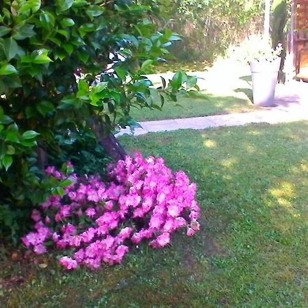 Le Clos Des Palombes Wifi Climatisation Saint-Pierre-du-Mont  Екстер'єр фото