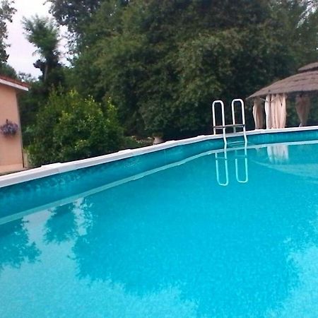 Le Clos Des Palombes Wifi Climatisation Saint-Pierre-du-Mont  Екстер'єр фото