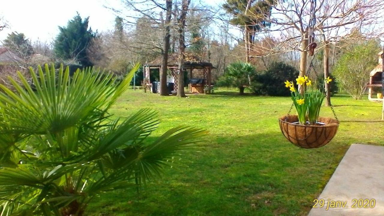 Le Clos Des Palombes Wifi Climatisation Saint-Pierre-du-Mont  Екстер'єр фото