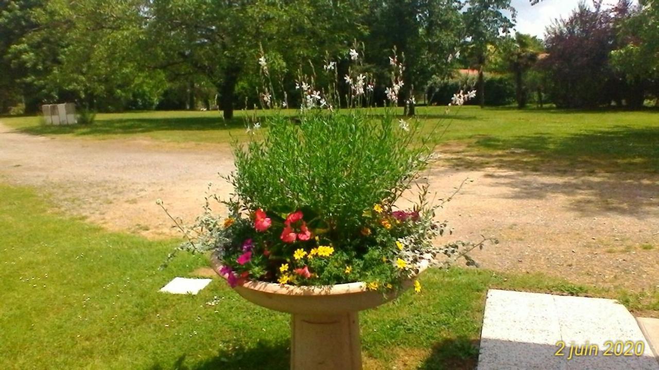 Le Clos Des Palombes Wifi Climatisation Saint-Pierre-du-Mont  Екстер'єр фото