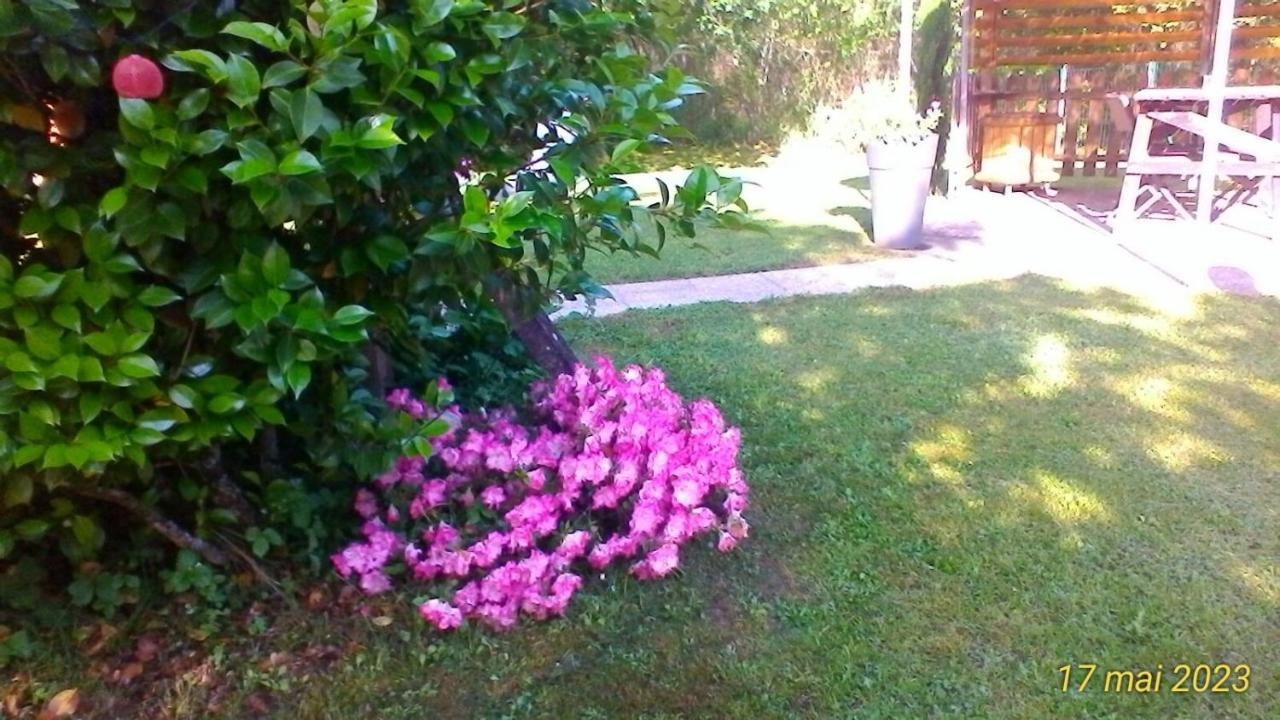 Le Clos Des Palombes Wifi Climatisation Saint-Pierre-du-Mont  Екстер'єр фото