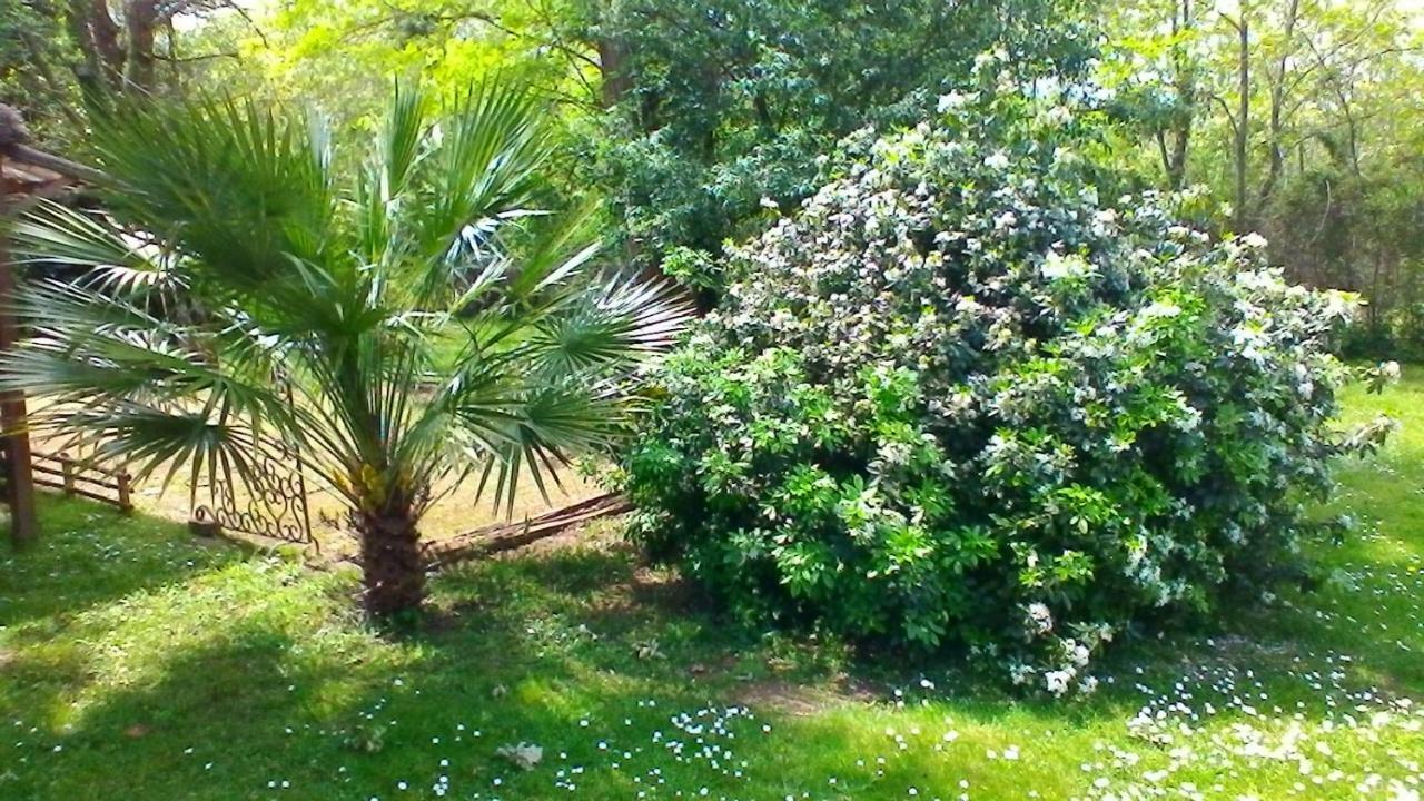 Le Clos Des Palombes Wifi Climatisation Saint-Pierre-du-Mont  Екстер'єр фото