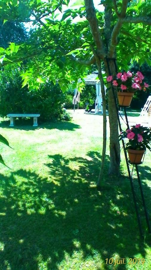 Le Clos Des Palombes Wifi Climatisation Saint-Pierre-du-Mont  Екстер'єр фото